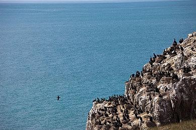 2024亚太区Predator League菲律宾总决赛精彩落幕 2025年前进马来西亚！